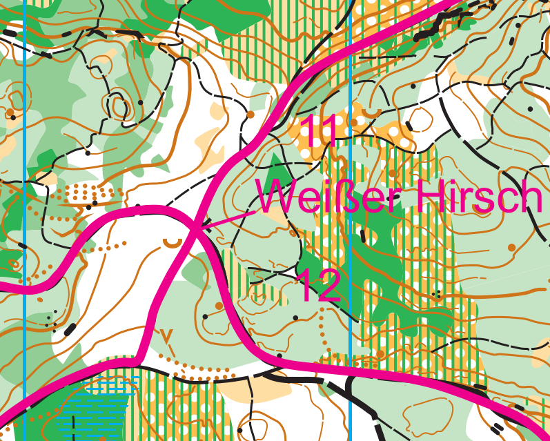 Trailrunningkarte und Wanderkarte Falkenberg: Neuauflage 2024!